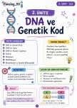8. sınıf 2. ünite Ders Notu