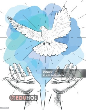 kimya2.yazılıhazırlık