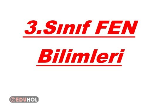 3.sınıf fen bilimleri ışık ve  ses ünitesi değerlendirme