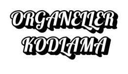 Organeller Anahtarlık