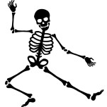 Destek ve Hareket Sistemi Tekrar Notu