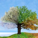 Mevsimlerin Oluşumu