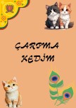 ÇARPMA İŞLEMİ