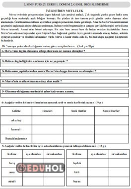 3. sınıf Türkçe dersi 1. dönem 2. genel değerlendirme