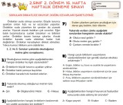 2. dönem 16. hafta haftalık mini deneme
