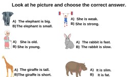 Zıt Kavramlar 6 Soruluk test İngilizce
