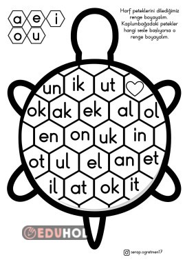 KAPLUMBAĞA HECELERİ BOYAMA