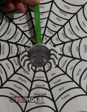 ÖRÜMCEK AĞI OKUMA