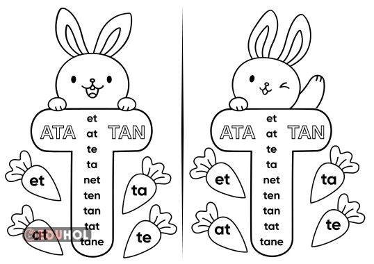TAVŞAN TEMALI T SESİ OKUMALARI