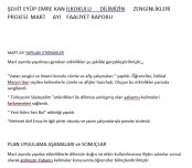 DİLİMİZİN ZENGİNLİKLERİ MART AYI RAPORU