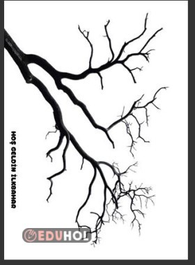 hoş geldin ilkbahar