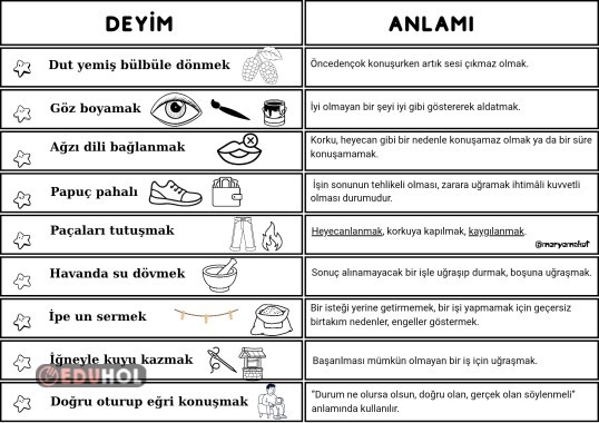 Dilimizin Zenginlikleri Projesi- Deyimler ve Anlamları 2