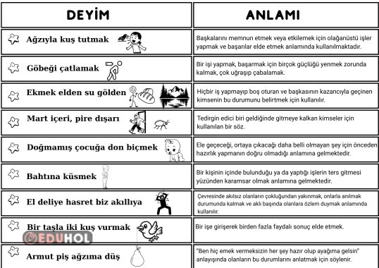 Dilimizin Zenginlikleri Projesi- Deyimler ve Anlamları