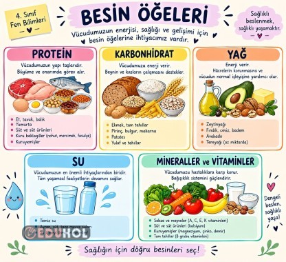 Besin Ögeleri Deftere yapıştırmalık 15 kişilik