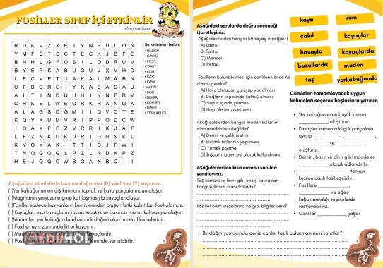 Fosiller,Madenler, Yer Kabuğu Sınıf İçi Etkinlik