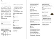 3.Sınıf Türkçe Değerlendirme (kolay seviye)