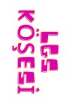 LGS KÖŞESİ PANO YAZISI