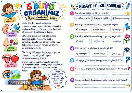 duyu organlarımız konusuna giriş hikayesi