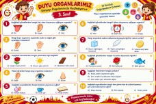 duyu organlarımız test