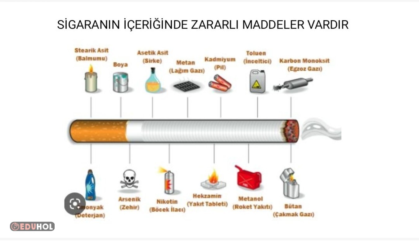 Sigara Ve Alkolün Zararları | Eduhol - Ders Videoları İzle Online Test ...