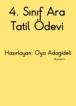 4. Sınıf Ara tatil ödevi