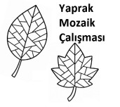 Yaprak Mozaik Çalışması