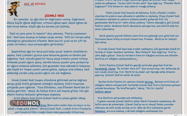 okuma anlama metni