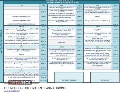 ÖZEL EĞİTİM MESLEK OKULU REHBERLİK DERS PLANI VE ETKİNLİKLER (gelişimsel lise düzeyi)