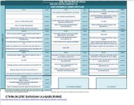 ÖZEL EĞİTİM SINIFI REHBERLİK PLANI (gelişimsel ortaokul düzeyi)