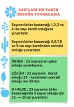 Onluğa yuvarlama konu özeti