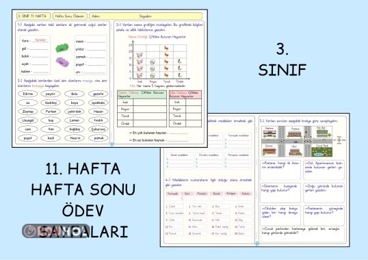 (3. Sınıf 11. Hafta)  Hafta Sonu Ödev Sayfaları (Yatay A4)