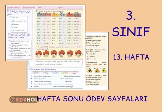 (3. Sınıf 13. Hafta) Hafta Sonu Ödevi  (Yatay A4)