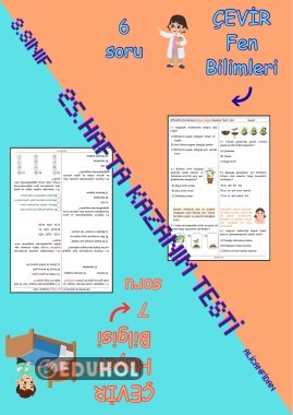 3. Sınıf “Fen Bilimleri ve Hayat Bilgisi” 25. Hafta Kazanım Testi