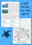 3. Sınıf Türkçe Okuma-Anlama Çalışması “Yüzme Bilmeyen Kaplumbağa”