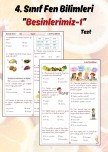 4. Sınıf Fen Bilimleri 