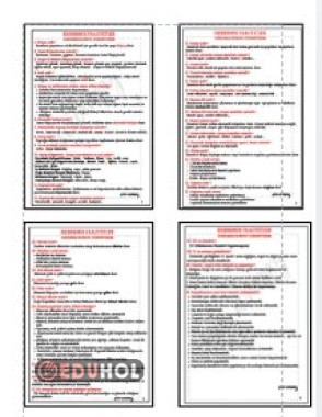 5.ÜNİTE EKONOMİK FAALİYETLER CEVAPLI SORULARLA KONUYU ÖĞRENİYORUM DEFTERE YAPIŞTIRMA