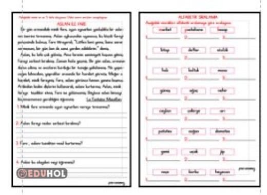 ALFABETİK SIRALAMA - OKUMA ANLAMA ETKİNLİĞİ