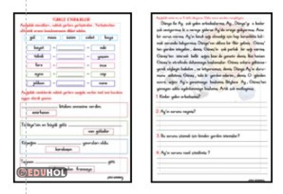 ALFABETİK SIRALAMA - ÖZEL İSİMLER - OKUMA ANLAMA ETKİNLİĞİ