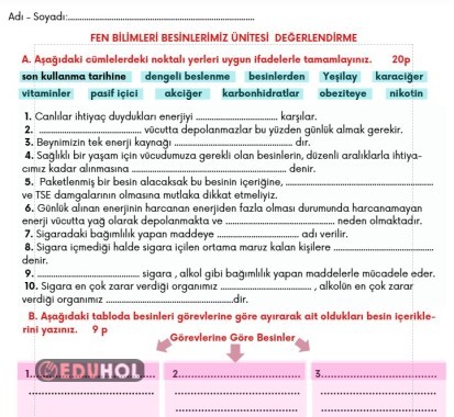 BESİNLERİMİZ TEMASI DEĞERLENDİRME ÇALIŞMASI
