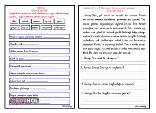 CÜMLE BİLGİSİ - OKUMA ANLAMA ETKİNLİĞİ 2