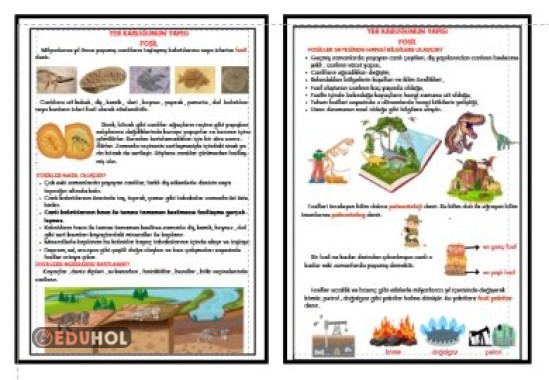 FEN BİLİMLERİ - YER KABUĞUNUN YAPISI - FOSİLLER DEFTER ÖZETİ