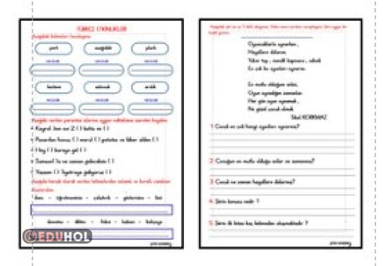 HECELEME- NOK. İŞA. - KURALLI VE ANLAMLI CÜMLE OLUŞTURMA - OKUMA ANLAMA ETKİNLİĞİ