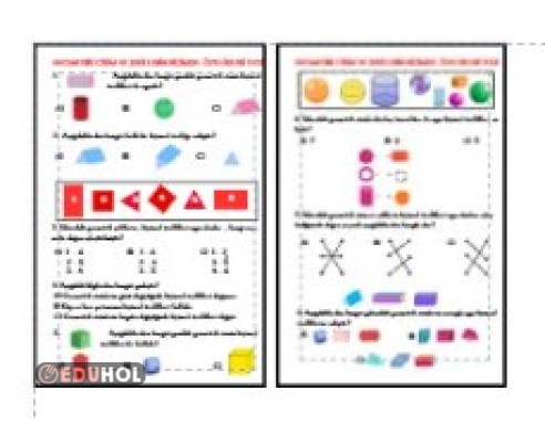 MATEMATİK - GEOMETRİK CİSİM VE ŞEKİLLERİN BİÇİMSEL ÖZELLİKLERİ TESTİ