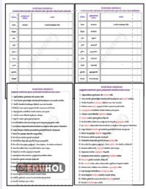 PEKİŞTİRMELİ SÖZCÜKLER CEVAPLI