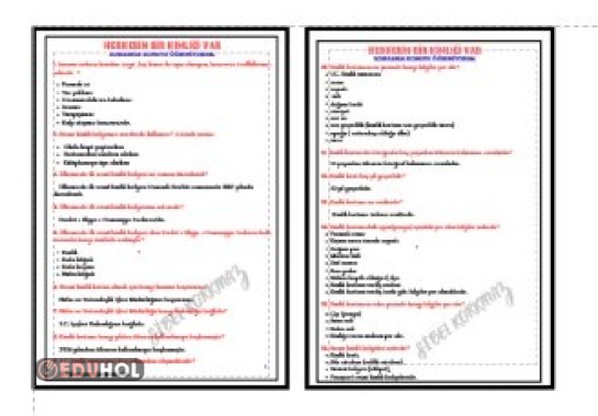 SOSYAL BİLGİLER - HERKESİN BİR KİMLİĞİ VAR - CEVAPLI SORULARLA KONUYU ÖĞRENİYORUM