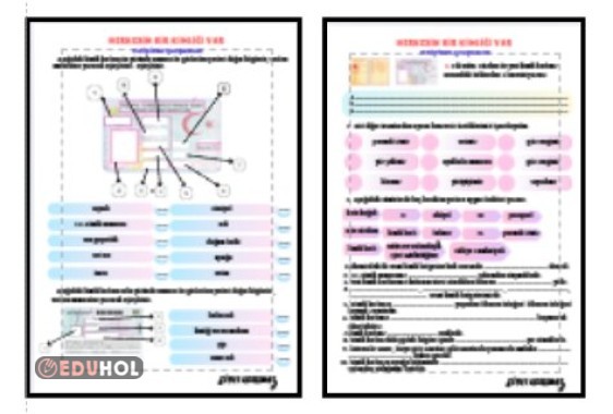 SOSYAL BİLGİLER - HERKESİN BİR KİMLİĞİ VAR ETKİNLİK 1
