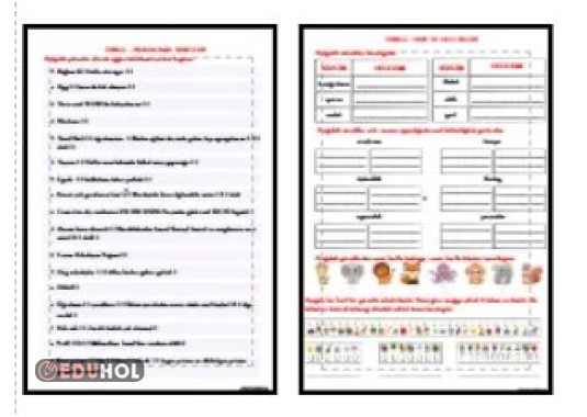 TÜRKÇE - NOKTALAMA İŞARETLERİ - HARF VE HECE BİLGİSİ ETKİNLİĞİ