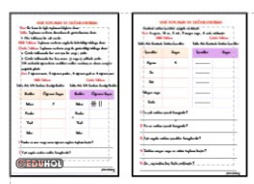 VERİ TOPLAMA VE DEĞERLENDİRME ETKİNLİĞİ 1