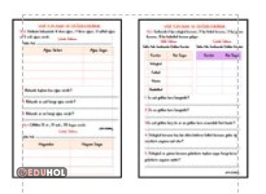 VERİ TOPLAMA VE DEĞERLENDİRME ETKİNLİĞİ 3