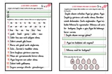 Ş SESİ HECE , KELİME , CÜMLE DİKTESİ - OKUMA ANLAMA